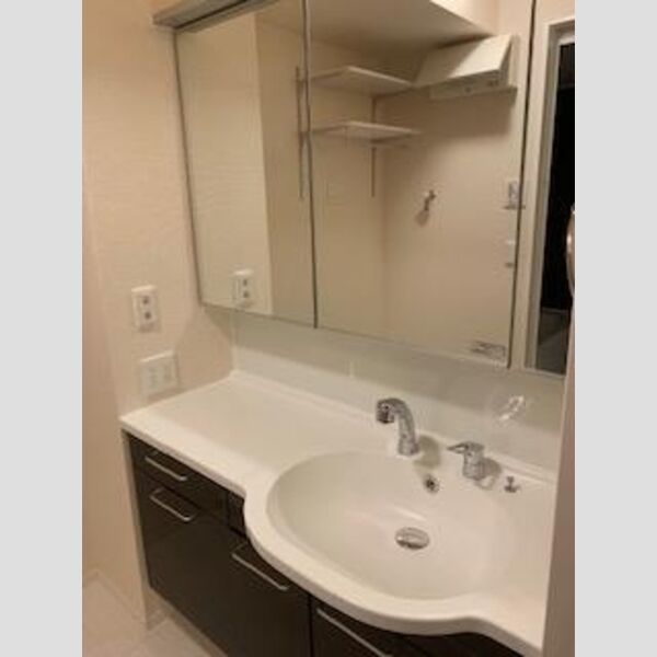 セジュール西台7102号室 洗面所