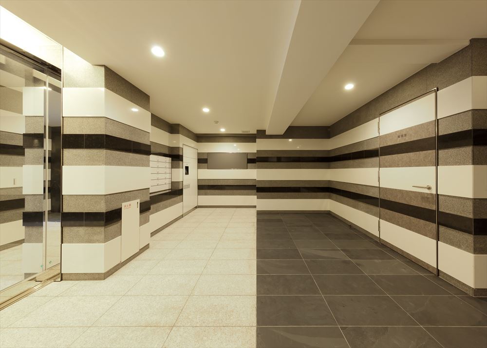 DIPS南六郷2201号室 エントランス