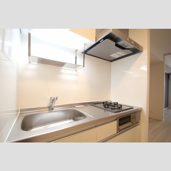 セレスティア大谷田305号室 2口コンロ付きシステムキッチン