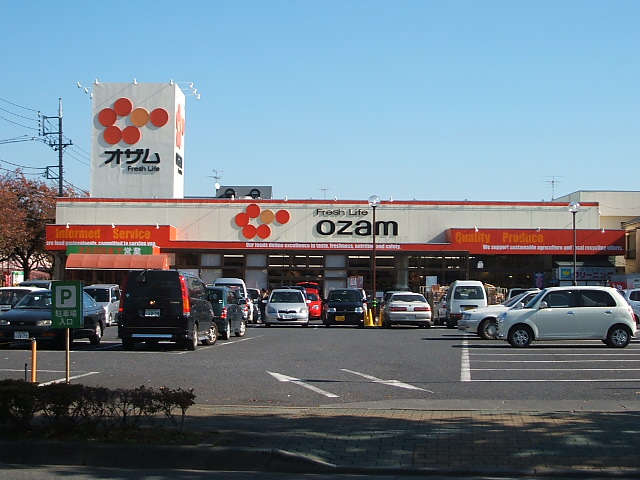 アンヌプリエ スーパーオザム秋川店まで973ｍ