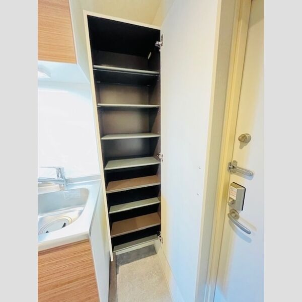 ファンディ平塚803号室 シューズボックス