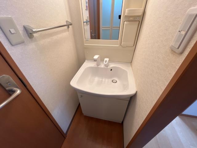 メゾン・トランタンヌーフ205号室 洗面