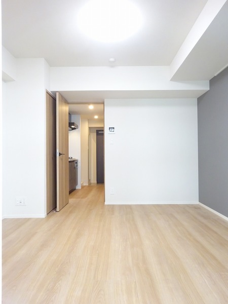 アイルイムーブル亀戸204号室 リビング