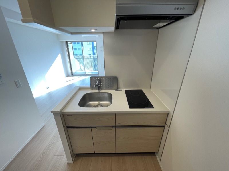 ライトテラス上野 キッチン