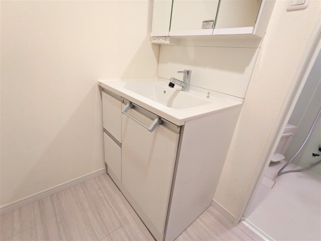 アリカ向島 洗面