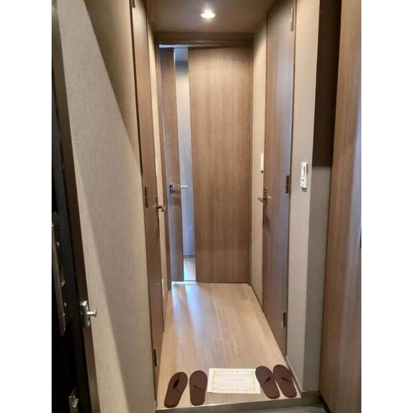 ミルーナヒルズD駒込 玄関