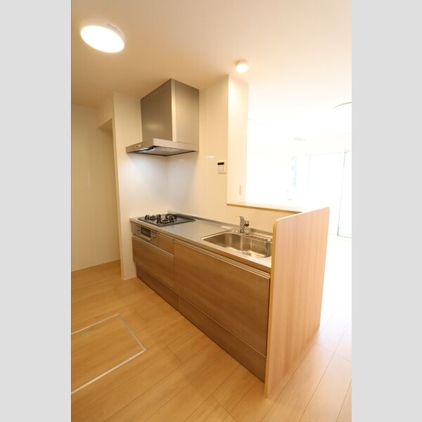 Apple court K&M 対面システムキッチン