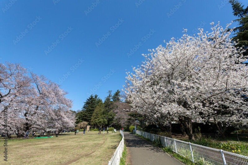 プラティーク馬事公苑(E-180)2階 東京都立砧公園