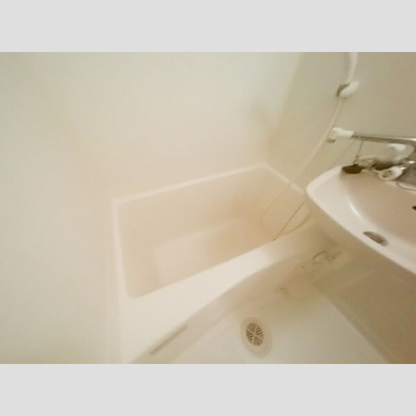 クリエイティブ12202号室 浴室