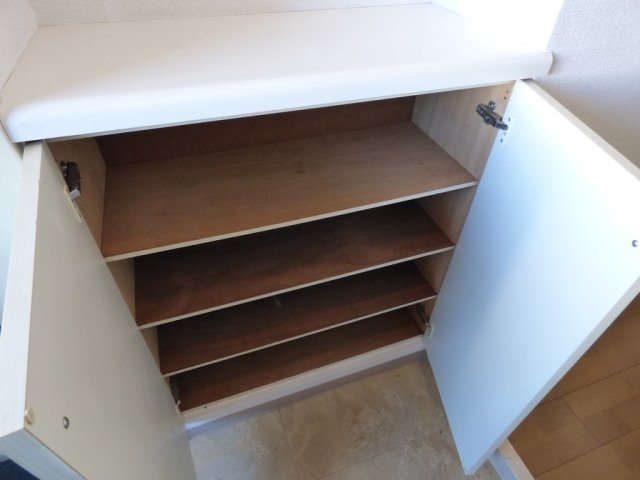 ウィン浅草 靴入