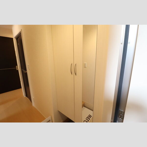 ウィーブ・ヴィオラ シューズボックス