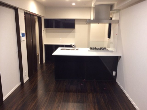 DIPS十条仲原WEST204号室 同建物別部屋の参考画像