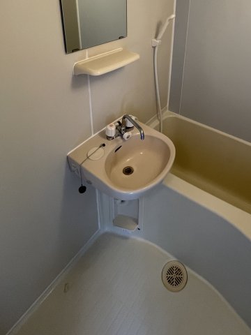 メゾン・イーストⅡ 洗面