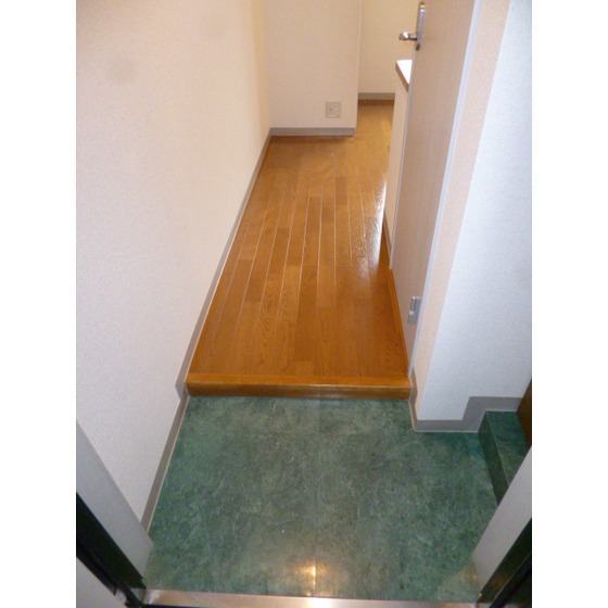 トランタンビュー東駒形0302号室 玄関入口！