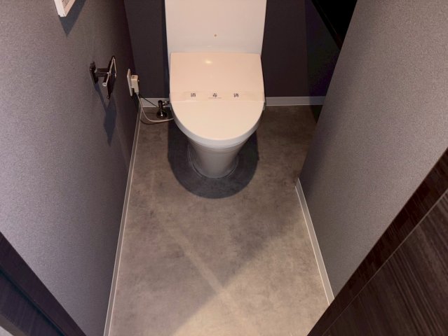 NIKKEIMARKS902号室 トイレ