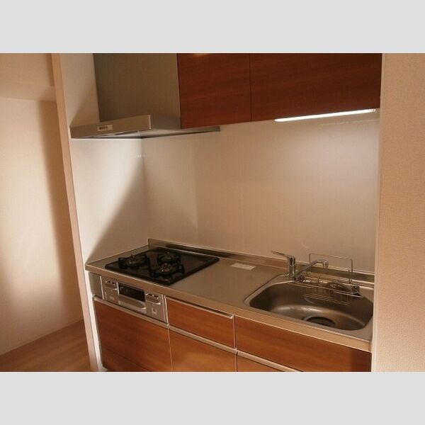 ハーネ・ユーエム・希望ヶ丘102号室 システムキッチン