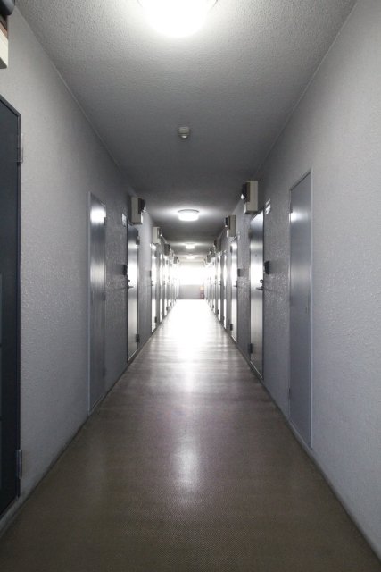 スカイコート後楽園第3409号室 同建物別部屋の参考画像