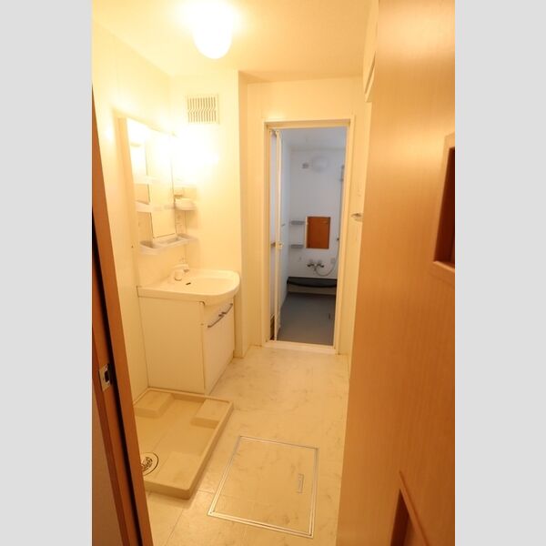 ブライトコート　A202号室 洗面室