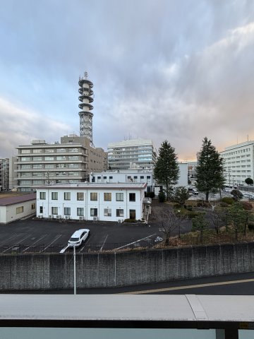 ルジェンテ藤沢　５０２0502号室 展望