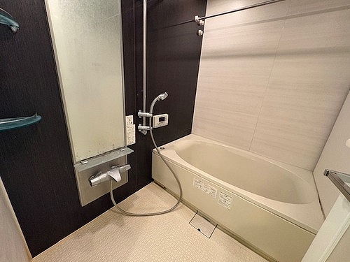 テラス東陽町ネクスタワー バス　クリーニング前