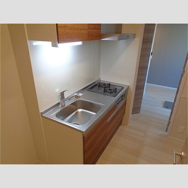 fortunex　(フォーチュンテン)206号室 システムキッチン