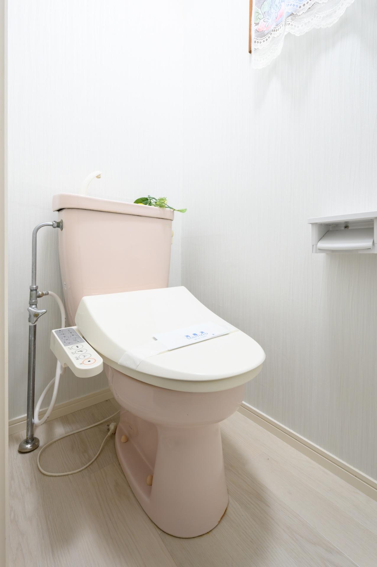 ティファニーヒルズⅡ トイレ