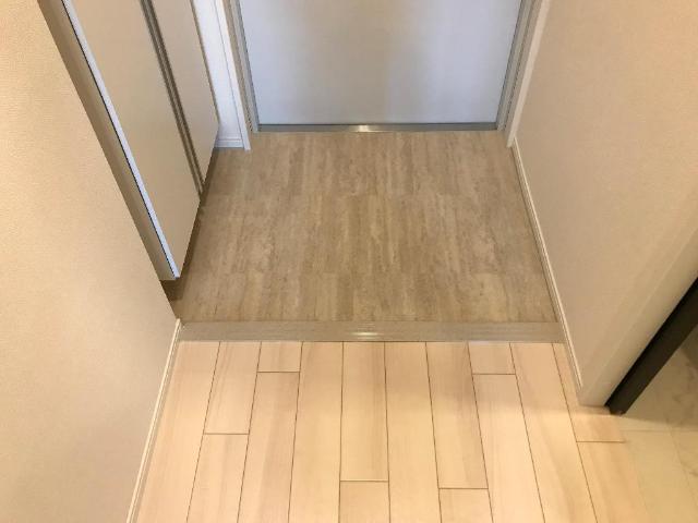 ルミエール高野208号室 玄関