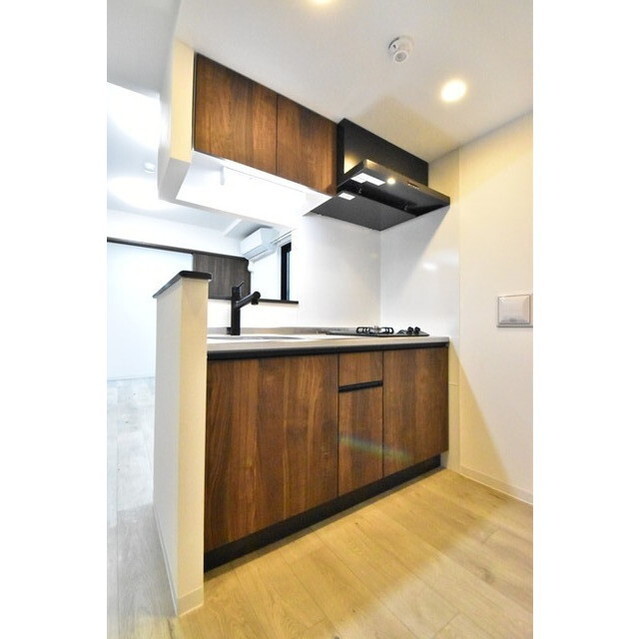 RJカーサ桜新町0201号室 内観