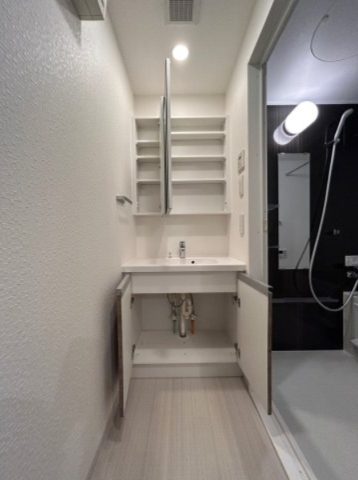 DIPS赤羽北EAST502号室 洗面