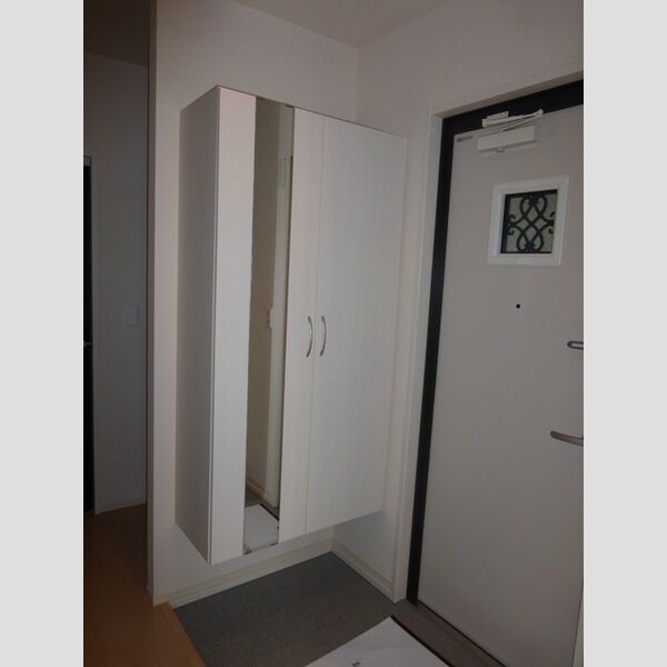 マイスター シューズボックス