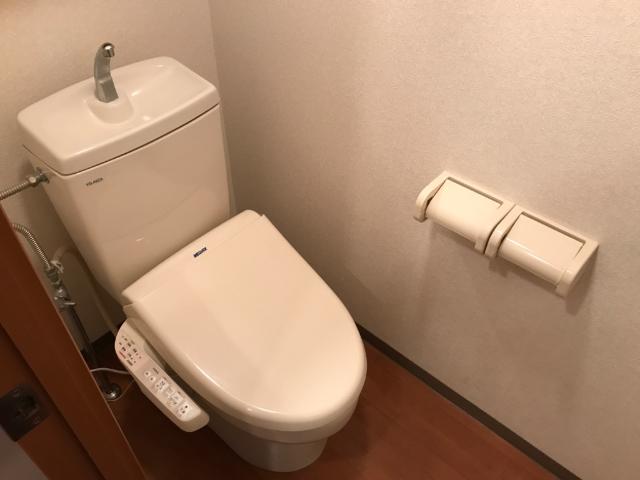 エル・アールＡＳＡＹＡ301号室 トイレ