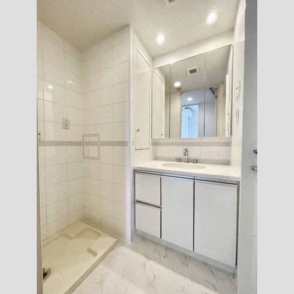 カスタリア高輪台 洗面所