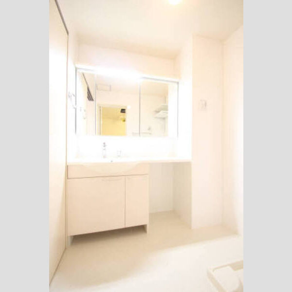 ブルーム202号室 202号室　洗面所