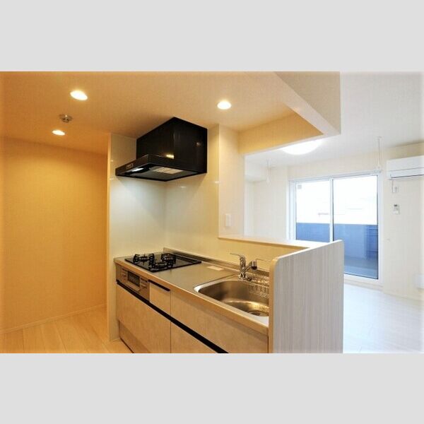 Dear Life305号室 システムキッチン
