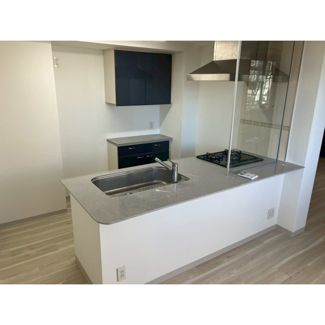 グランシティラピュタタワー1101号室 キッチン