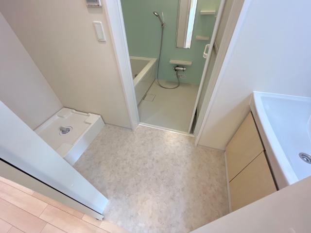 プリオーレおおたかの森203号室 洗面脱衣所