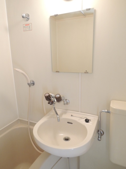 スカイコート都立大学406号室 洗面