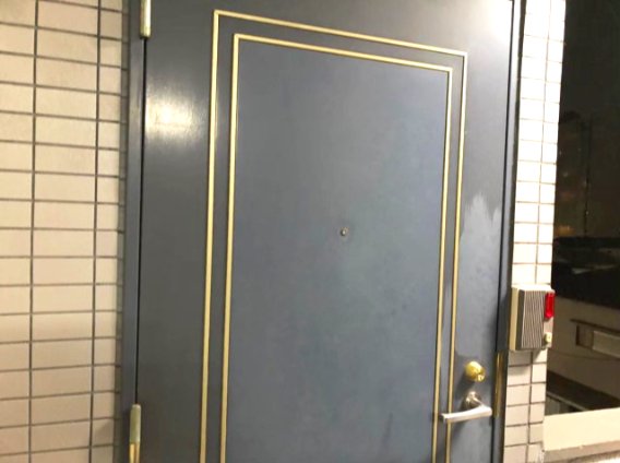 ワコーレエレガンス四ツ木403号室 玄関