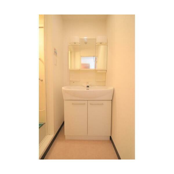 シャンブリーズ三越前 洗面