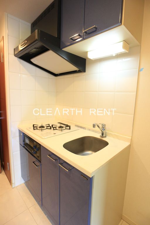 パレステュディオ早稲田ＰａｒｋＶｉｅｗ 同タイプの別住戸写真となります。現況と異なる場合がございます。