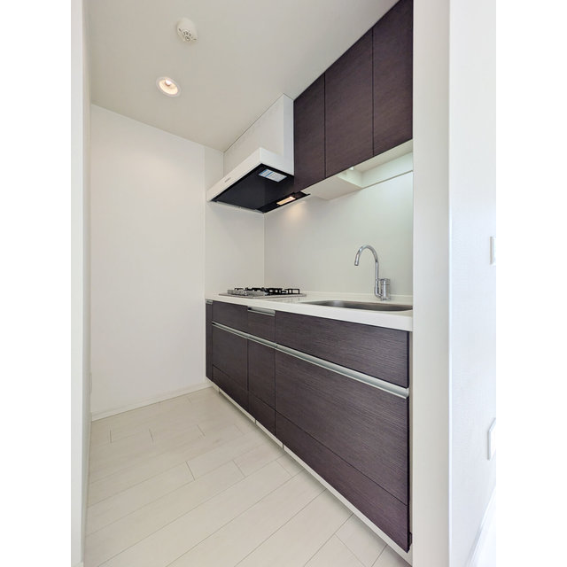 LaSante千駄木0906号室 キッチン