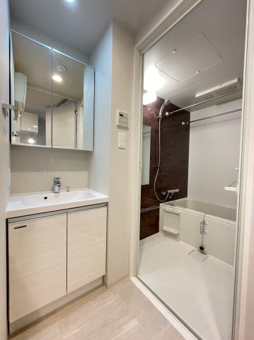 DIPS上板橋502号室 洗面