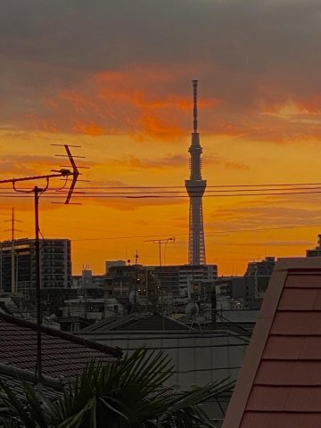 Lino新小岩 窓からはスカイツリーが見えます！