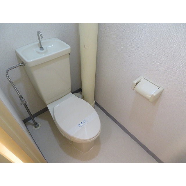 グレース大蔵0202号室 トイレ