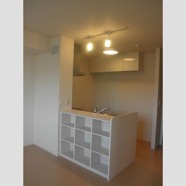 YAMAZAKIコーポラス105号室 キッチン背面収納