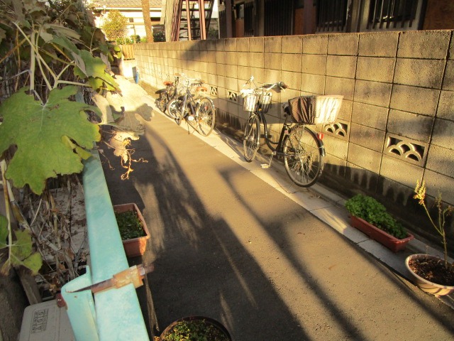 コーポ加藤1階 部屋その他