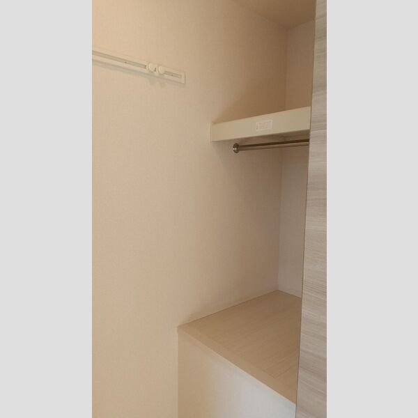 フローラルコート水無201号室 ウォークインクローゼット