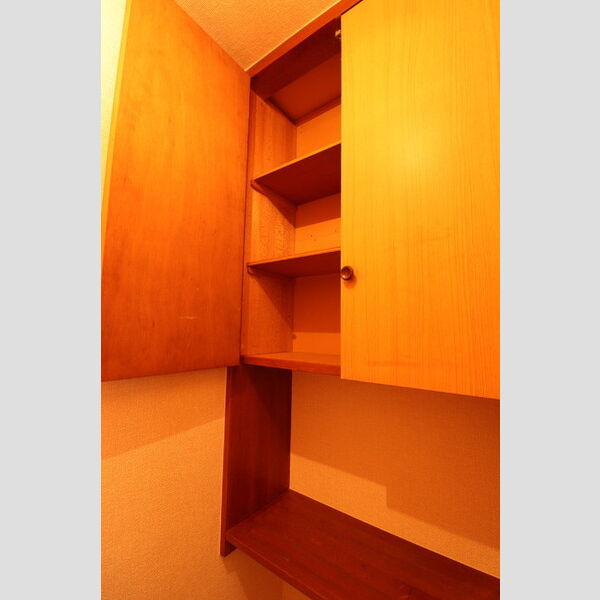 ヴィラ松本202号室 トイレ内収納