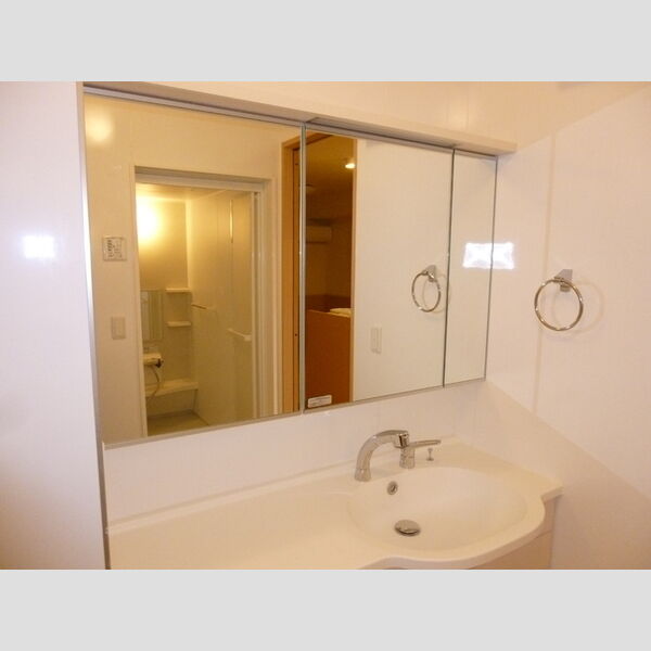 エクセルガーデン参番館 洗面