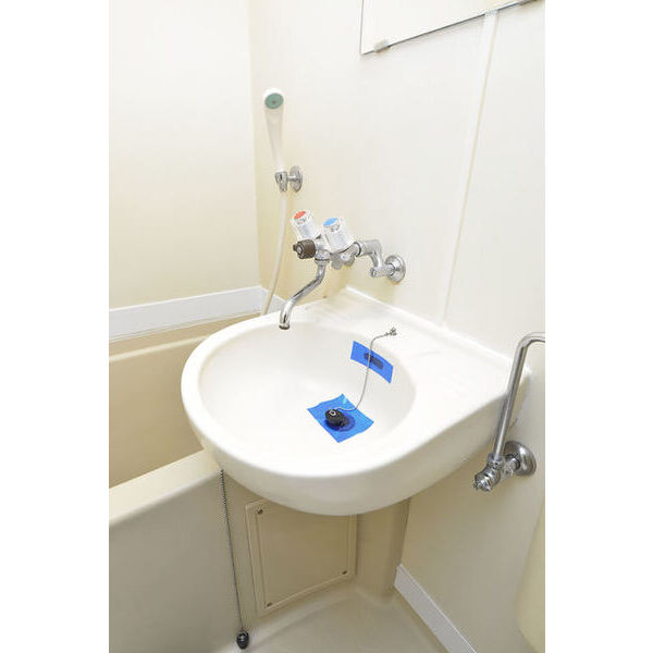 ゼフィランサス橋本0203号室 洗面